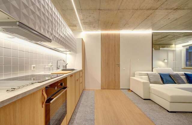 Апартаменты Kauno-Algirdo Luxury apartments Вильнюс-13