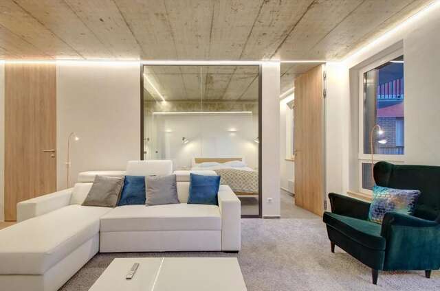 Апартаменты Kauno-Algirdo Luxury apartments Вильнюс-35